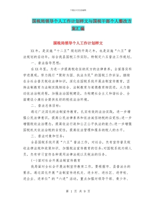 国税局领导个人工作计划样文与国税干部个人整改方案汇编