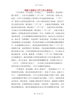 国税干部践行三严三实心得体会