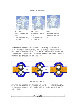 凸轮转子泵的工作原理x