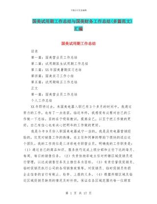 国美试用期工作总结与国美财务工作总结汇编