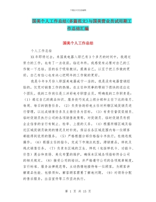 国美个人工作总结与国美营业员试用期工作总结汇编