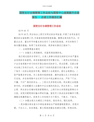 国贸支行合规管理工作总结与国资中心发展提升自查报告