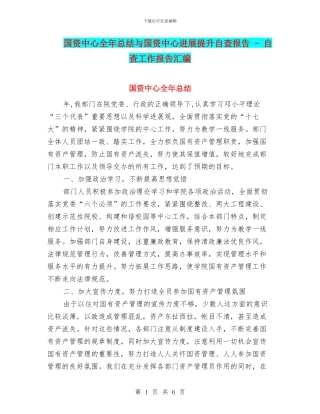 国资中心全年总结与国资中心发展提升自查报告