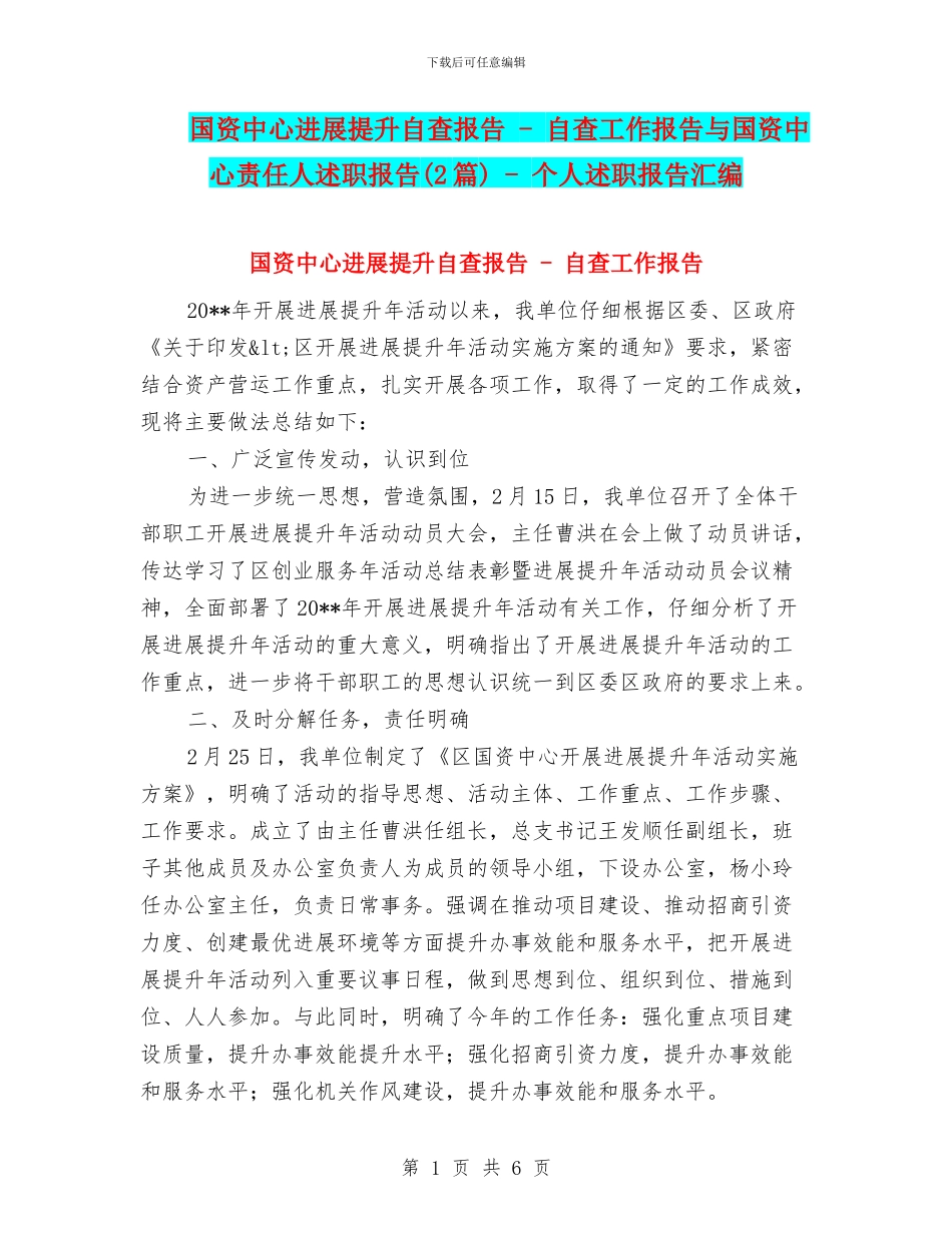 国资中心发展提升自查报告_第1页