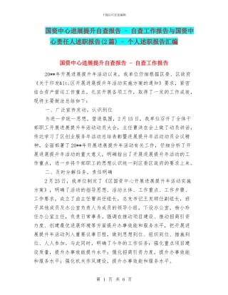 国资中心发展提升自查报告