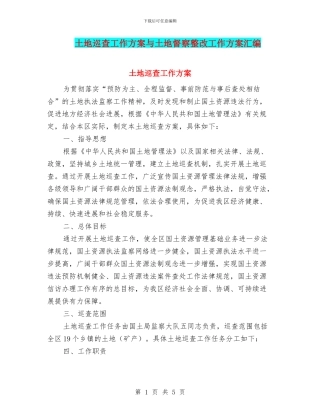 土地巡查工作方案与土地督察整改工作方案汇编