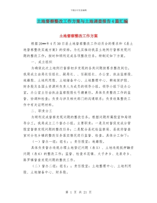 土地督察整改工作方案与土地调查报告4篇汇编