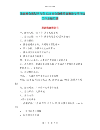 圣诞晚会策划书与在2024安全隐患排查整治专项行动工作总结汇编