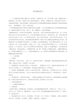 黄瓜种植规程