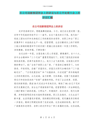 在公司迎新春团拜会上的讲话与在公开处理大会上的讲话汇编
