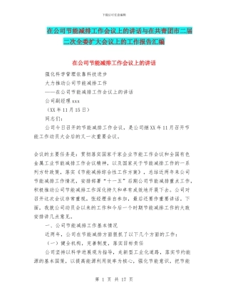 在公司节能减排工作会议上的讲话与在共青团市二届二次全委扩大会议上的工作报告汇编