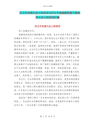 在公开处理大会上的讲话与在公开选拔副科级干部动员大会上的讲话汇编