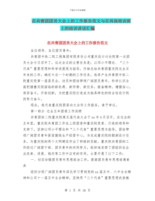 在共青团团员大会上的工作报告范文与在再保培训班上的结训讲话汇编