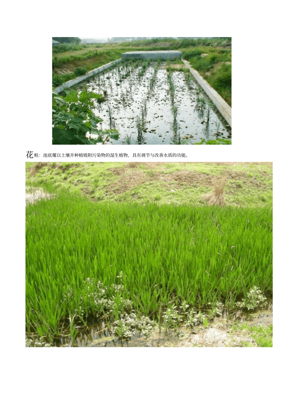 利用雨水做设计讲解_第2页