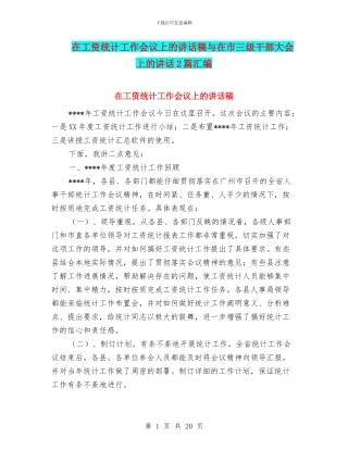 在工资统计工作会议上的讲话稿与在市三级干部大会上的讲话2篇汇编