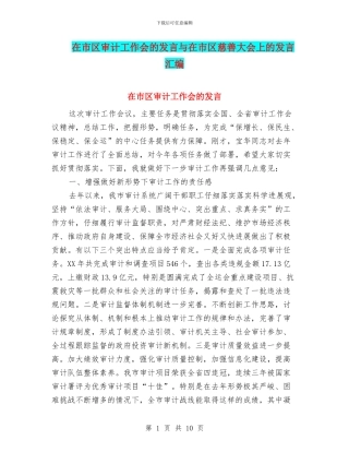 在市区审计工作会的发言与在市区慈善大会上的发言汇编