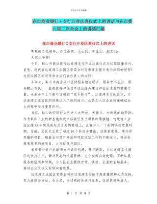 在市商业银行X支行开业庆典仪式上的讲话与在市委九届二次全会上的讲话汇编