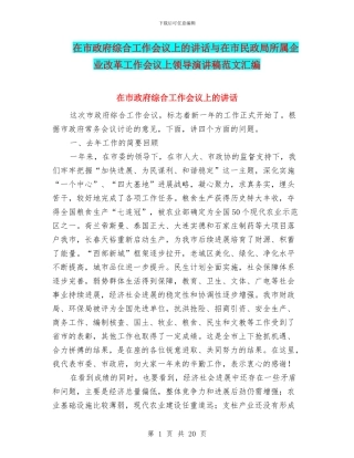 在市政府综合工作会议上的讲话与在市民政局所属企业改革工作会议上领导演讲稿范文汇编