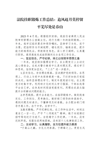 法院挂职锻炼工作总结：追风赶月莫停留平芜尽处是春山