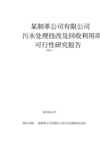制革公司有限公司污水处理技改及回收利用项目可行性研究报告