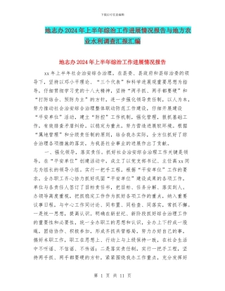 地志办2024年上半年综治工作进展情况报告与地方农业水利调查汇报汇编