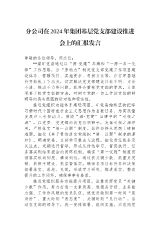 分公司在2024年集团基层党支部建设推进会上的汇报发言