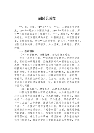 副区长政治画像