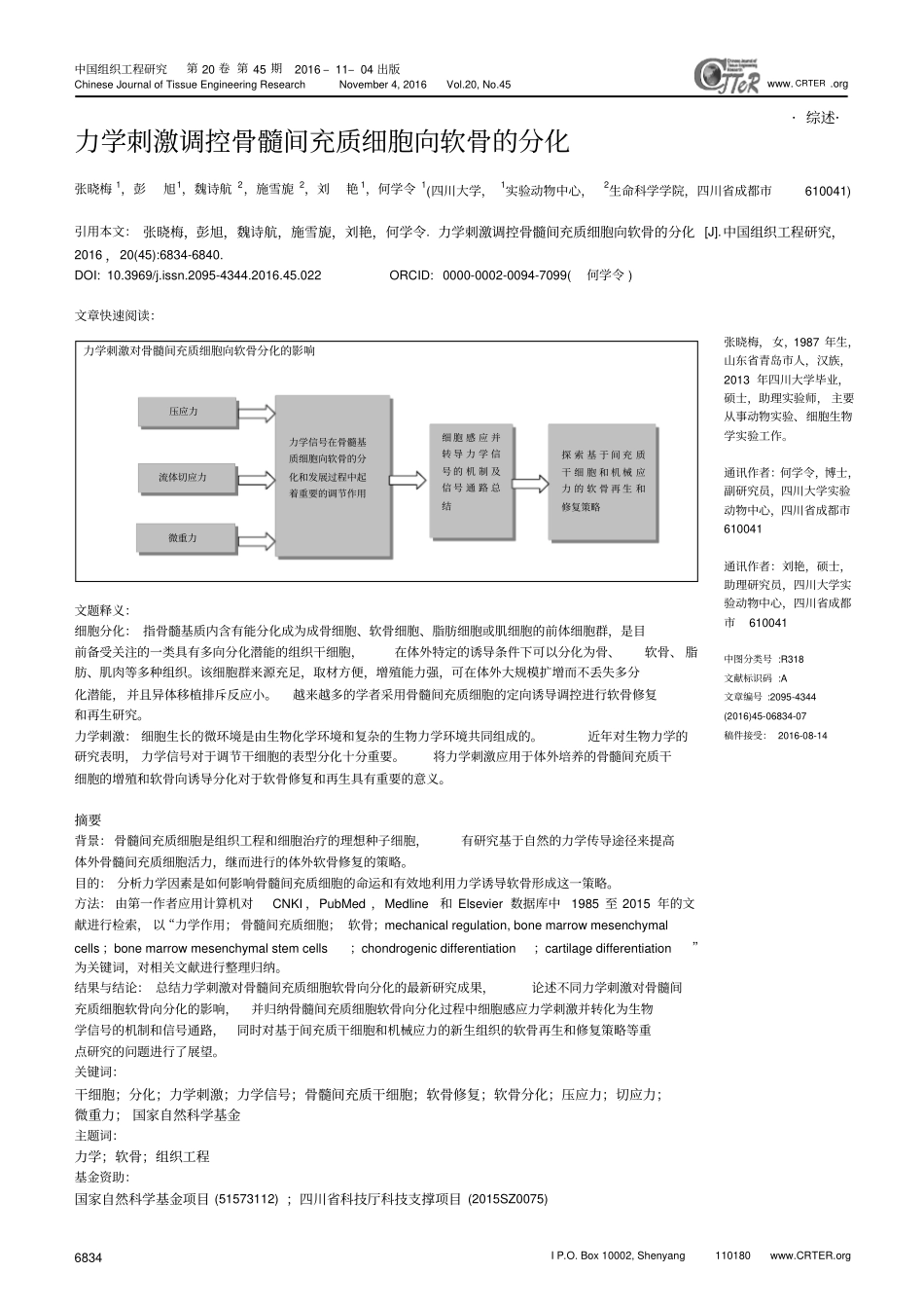 力学刺激调控骨髓间充质细胞向软骨的分化汇总_第1页