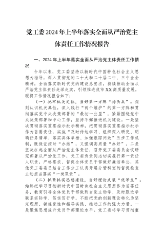 党工委2024年上半年落实全面从严治党主体责任工作情况报告
