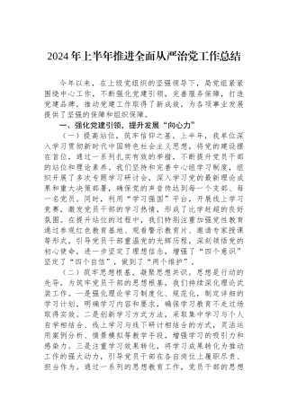 2024年上半年推进全面从严治党工作总结
