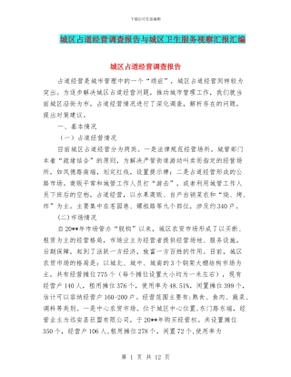 城区占道经营调查报告与城区卫生服务视察汇报汇编