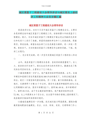 城区菜篮子工程建设大会领导讲话与城区落实上级经济工作精神大会发言稿汇编