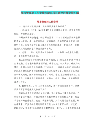 城市管理局工作安排与城市项目建设发展安排汇编