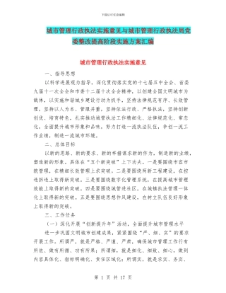 城市管理行政执法实施意见与城市管理行政执法局党委整改提高阶段实施方案汇编
