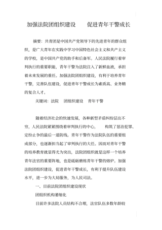 加强法院团组织建设促进青年干警成长