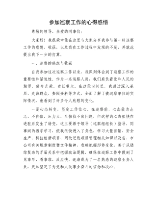 参加巡察工作的心得感悟