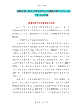 城建监察大队党支部半年总结与城建监察工作2024年工作总结汇编