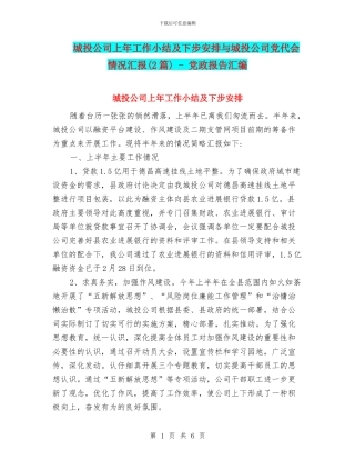 城投公司上年工作小结及下步安排与城投公司党代会情况汇报