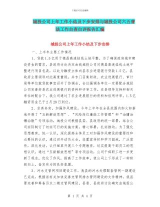 城投公司上年工作小结及下步安排与城投公司六五普法工作自查自评报告汇编