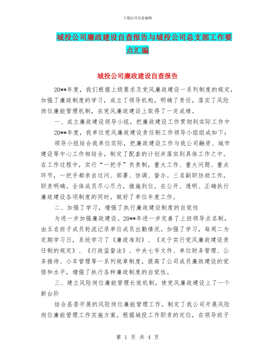 城投公司廉政建设自查报告与城投公司总支部工作要点汇编_第1页