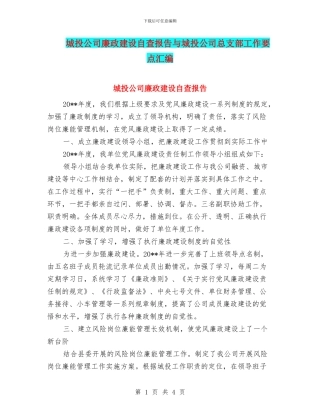 城投公司廉政建设自查报告与城投公司总支部工作要点汇编