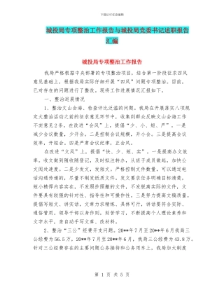 城投局专项整治工作报告与城投局党委书记述职报告汇编