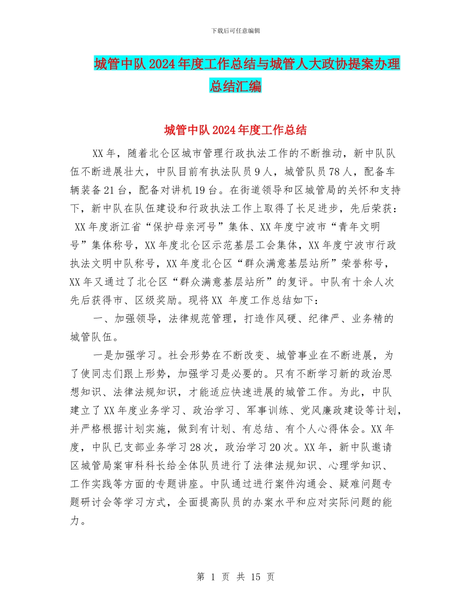 城管中队2024年度工作总结与城管人大政协提案办理总结汇编_第1页