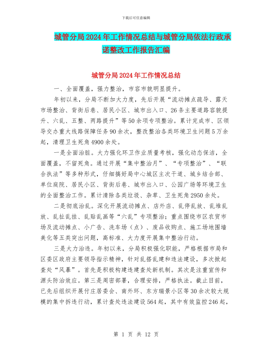 城管分局2024年工作情况总结与城管分局依法行政承诺整改工作报告汇编_第1页