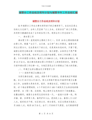 城管办工作总结及明年计划与城管半年工作总结汇编