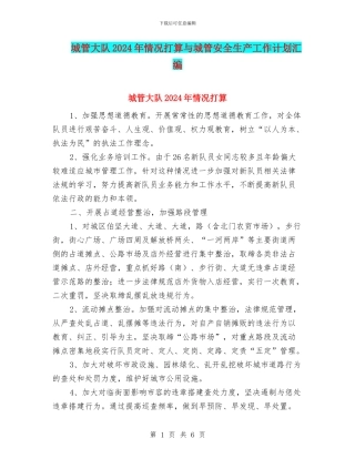城管大队2024年情况打算与城管安全生产工作计划汇编