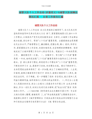 城管大队个人工作总结与城管大队保障法情况汇报