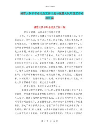 城管大队半年总结及工作计划与城管大队年度工作总结汇编