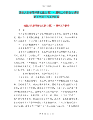 城管大队督导评估汇报