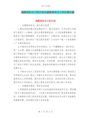 城管局妇女工作计划与城管局学习工作打算汇编